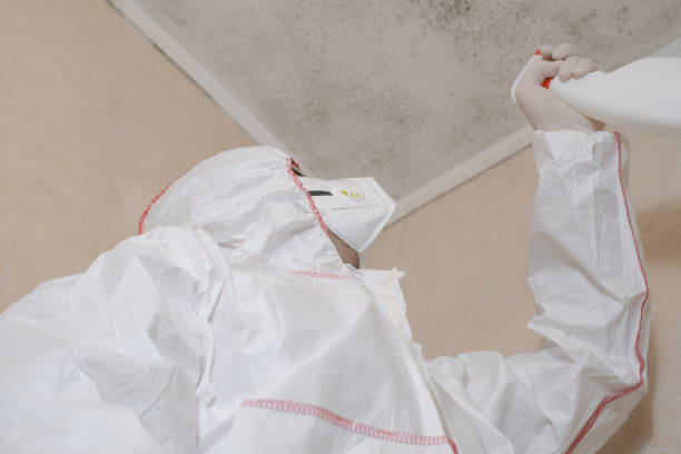 Best Commercial Mold Removal  in Waterloo, NE
