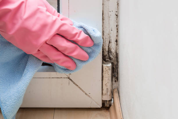 Water Damage Restoration in Waterloo, NE